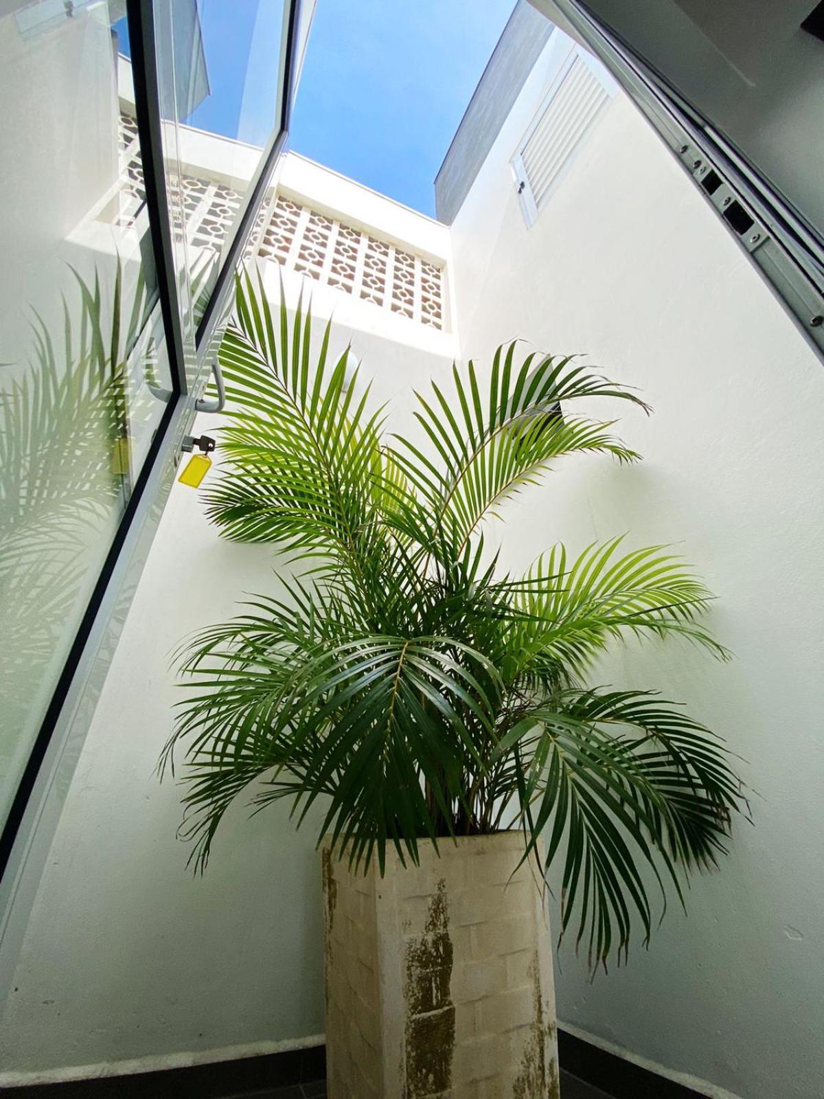 Ferienwohnung Sobrados Molhes Passo de Torres Exterior foto